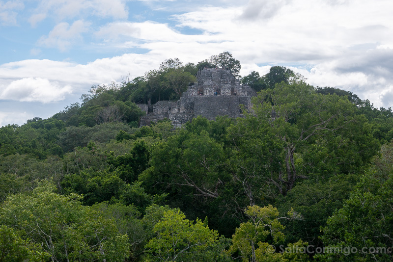 Calakmul Piramide Maya Selva