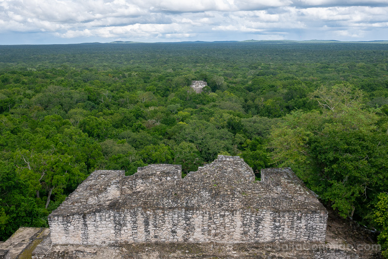 Calakmul Piramide Maya Masa Verde