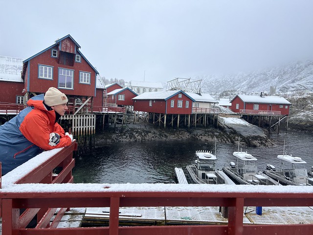 Sele en Islas Lofoten (Noruega)