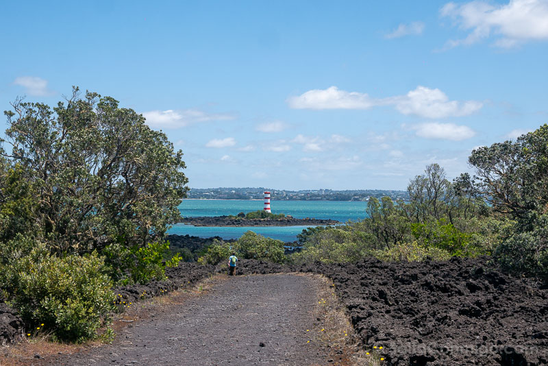 Que Ver En Auckland Rangitoto Sendero Roca Volcanica Faro