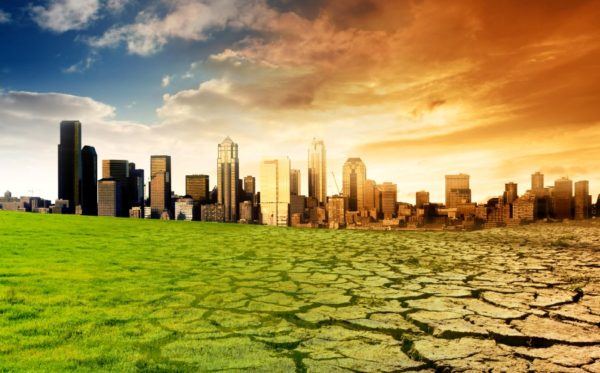 Cambio climatico causas 