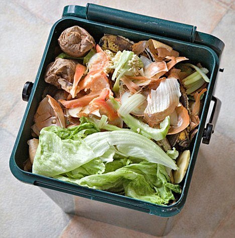 8-alimentos-que-pueden-volver-a-utilizar-antes-de-tirarlos-a-la-basura
