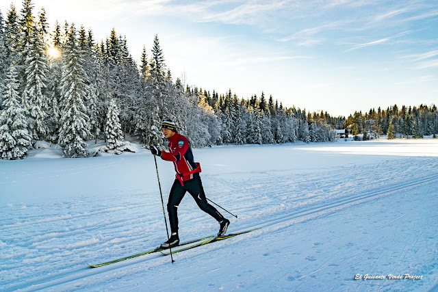 Esquí de Fondo en Oslo por El Guisante Verde Project
