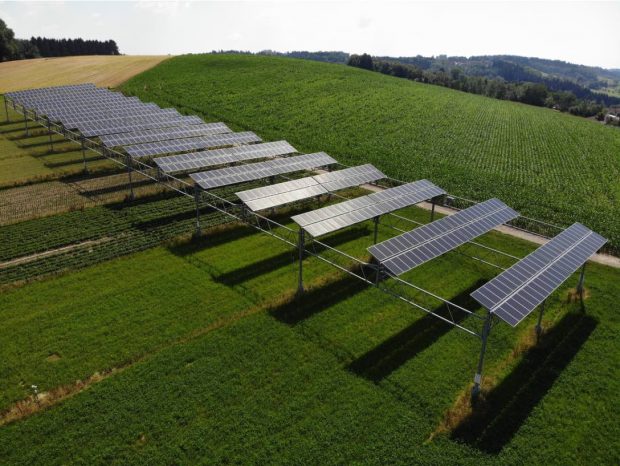 Las granjas solares agrícolas resultaron más eficientes en 2018