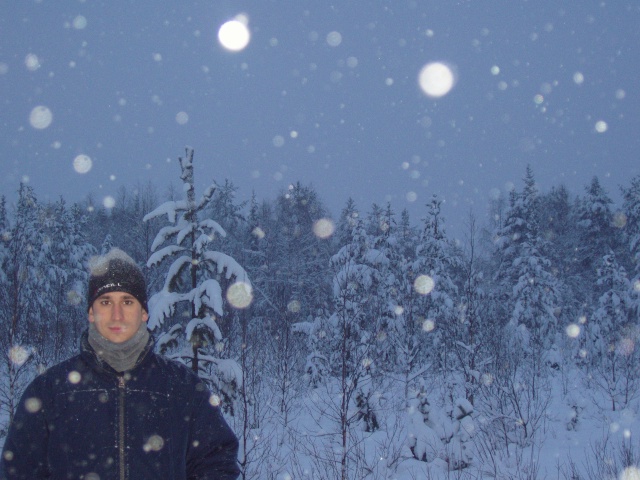 Sele en una nevada en Finlandia