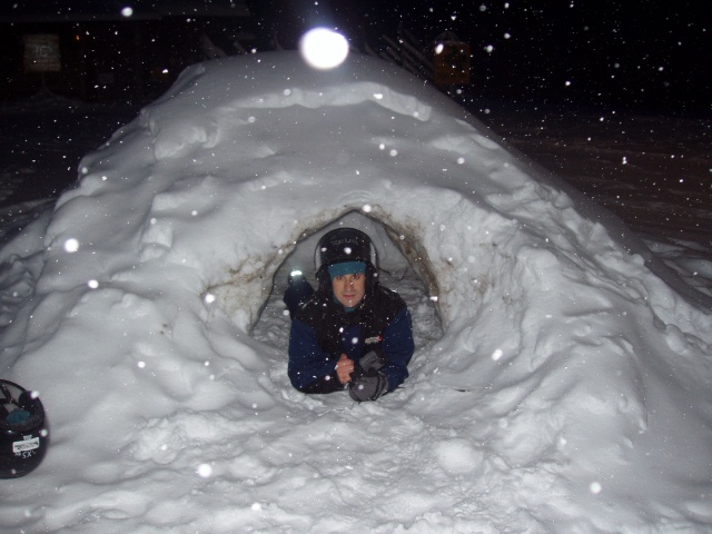 Sele en un iglú en Finlandia