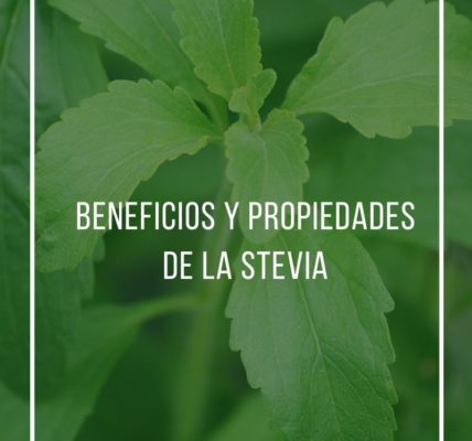 Beneficios y propiedades de la stevia