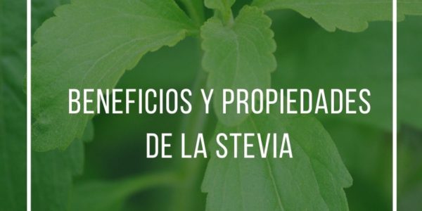 Beneficios y propiedades de la stevia