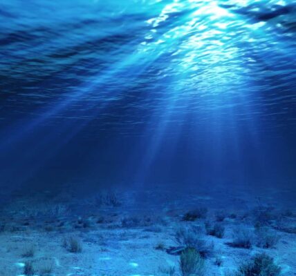 Calentamiento Global: las aguas oceánicas profundas también están en peligro