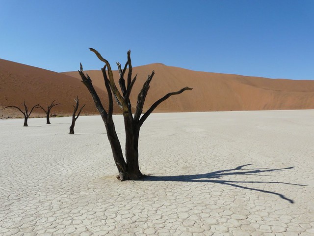 Dead Vlei (El lago muerto de Namibia)
