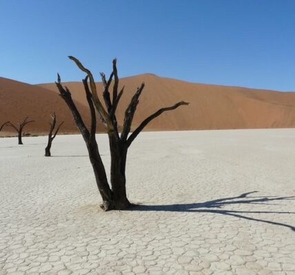 El lago muerto de Namibia (Deadvlei)