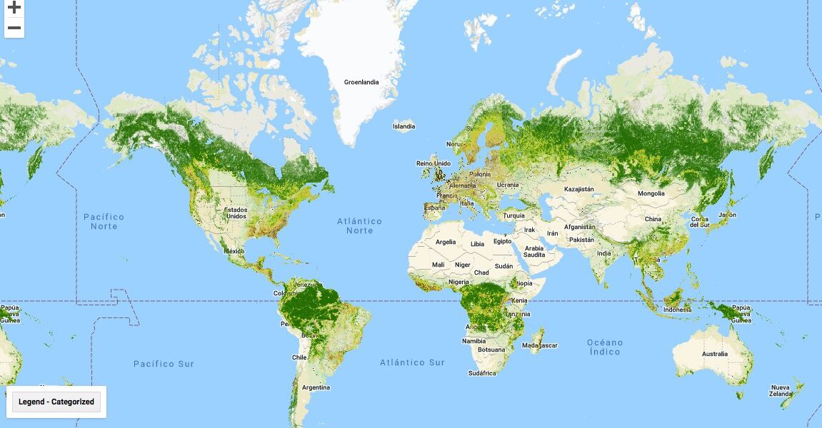 Mapa interactivo de los mejores bosques del mundo por país