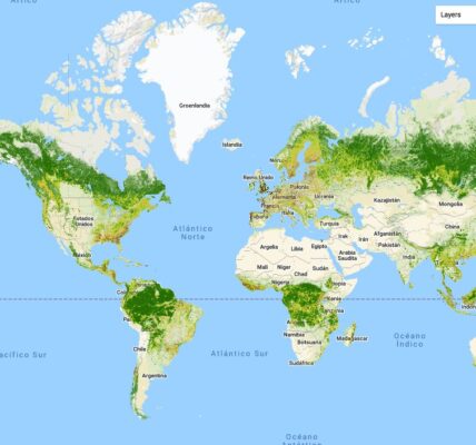 Mapa interactivo de los mejores bosques del mundo por país