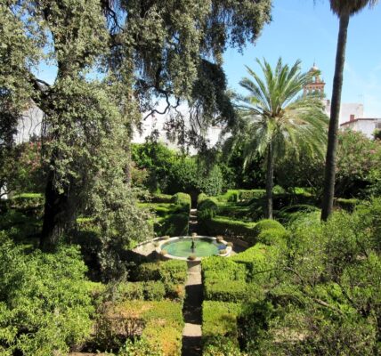 Consejos para visitar el Palacio de Viana en Córdoba