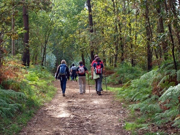 Peregrinos en el Camino Inglés (de Ferrol a Santiago) → LA VIAJERA EMPEDERNIDA Peregrinos en el Camino Inglés (de Ferrol a Santiago)