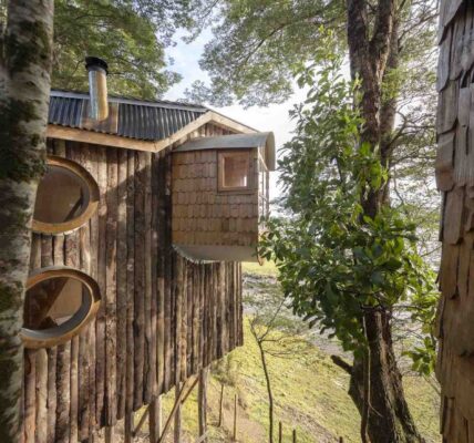 Preciosas cabañas elevadas de madera en Chile para disfrutar entre los árboles