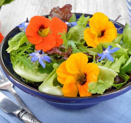 30 flores comestibles que puedes comer directamente de tu jardín