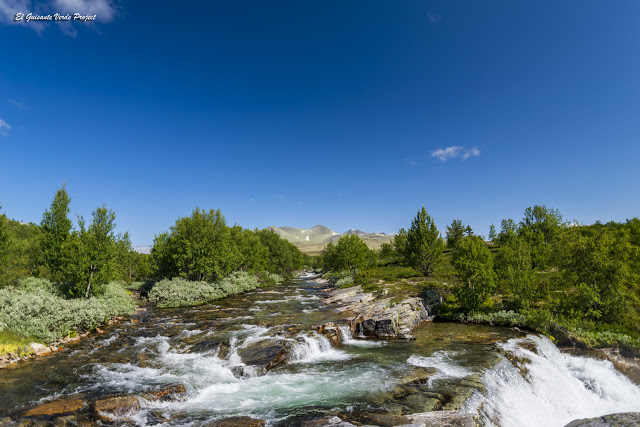Brudesloret, ruta en Rondane - Noruega