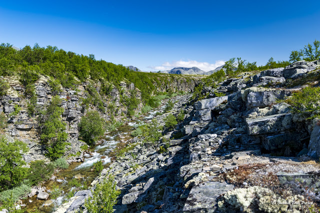 Cañón del río Ula en Storulfossen, Rondane - Noruega
