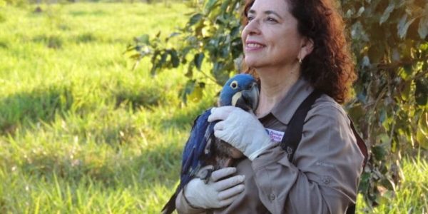 La brasileña que salvó a los guacamayos azules de la extinción