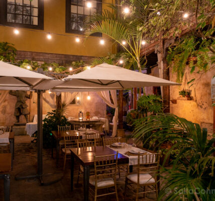 Dónde comer en Las Palmas de Gran Canaria: restaurantes y más
