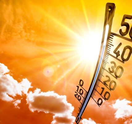 5 formas de combatir las olas de calor cada vez más insoportables