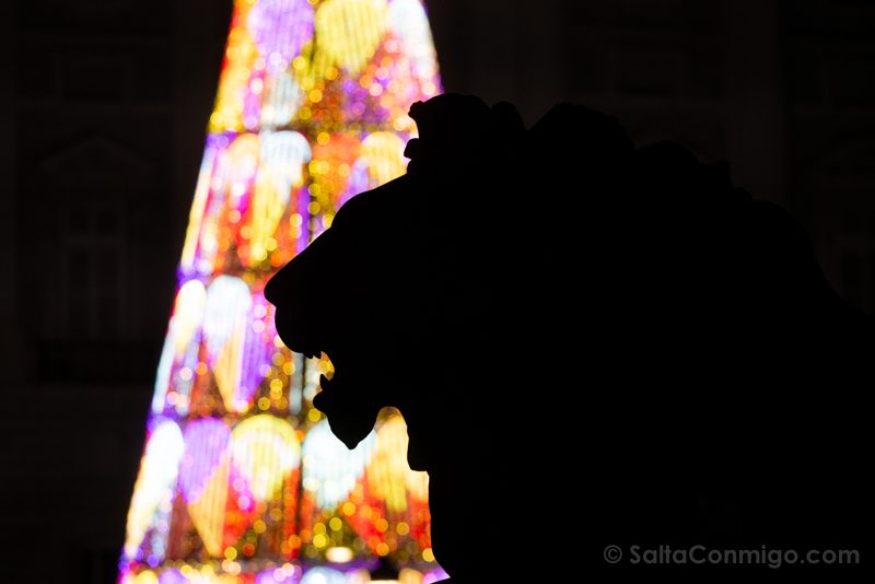 La silueta de uno de los leones de la Plaza de Oriente contra un árbol de Navidad Luces Navidad Madrid Plaza Oriente Leon Noche