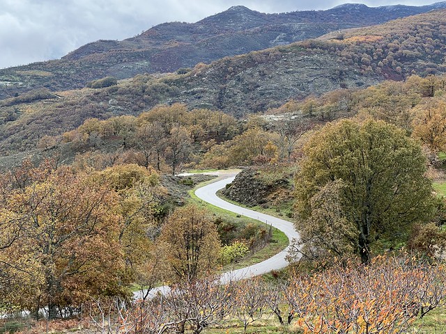 Carretera paisajística entre Valle del Jerte y Valle del Ambroz