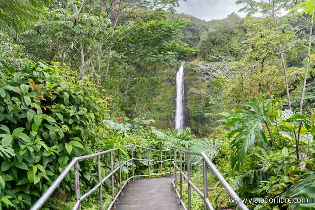 Las cascadas de Akaka en Hawaii (Akaka Falls)