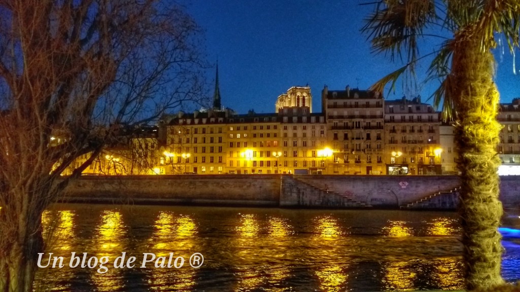 Noche en París... el Sena
