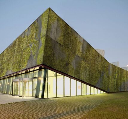 Claudio Antonio Ramírez Soto - Hormigón biológico; Nuevo material ecoamigable en la industria de la construcción - FOTO