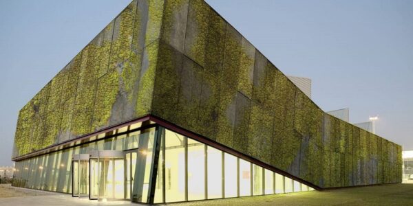 Claudio Antonio Ramírez Soto - Hormigón biológico; Nuevo material ecoamigable en la industria de la construcción - FOTO