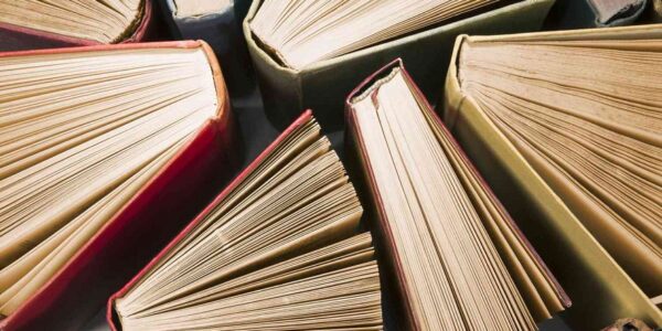 Javier Ceballos Jiménez - ¡Entérate! ¡Éstos son los principales subgéneros literarios! - FOTO