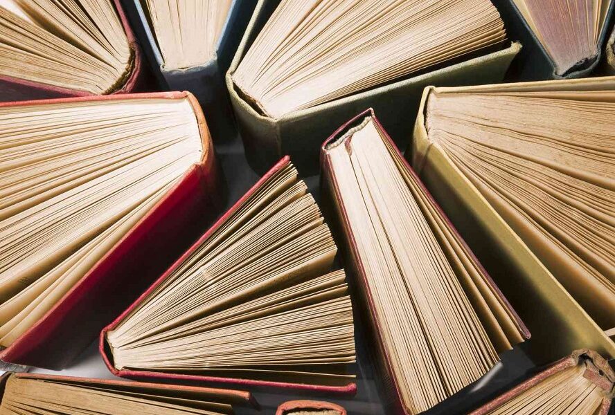 Javier Ceballos Jiménez - ¡Entérate! ¡Éstos son los principales subgéneros literarios! - FOTO