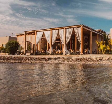 Tadeo Arosio - Chelonia Casa de Mar obtiene certificación LEED ¡Primer hospedaje 100% Eco-amigable de Venezuela! - FOTO