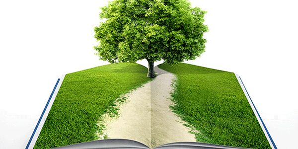La educación ambiental, aprendamos a cuidar nuestro ambiente
