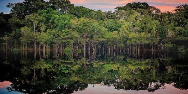La importancia de la Amazonía para el planeta