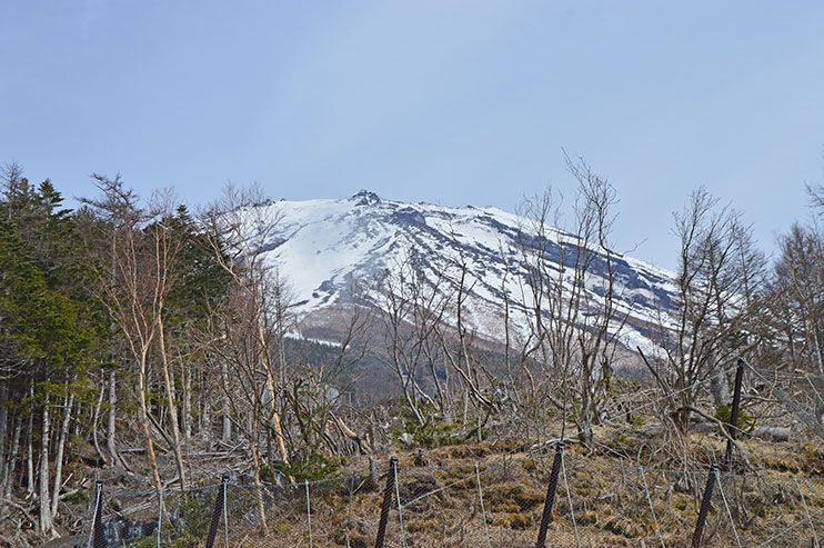 Monte Fuji