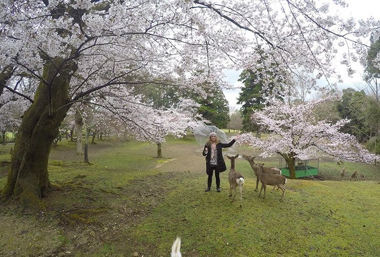 Parque de Nara