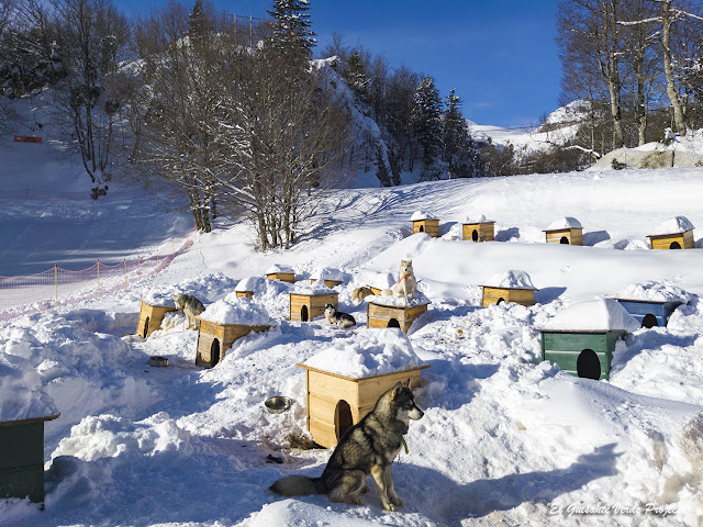 Huskies en La Pierre Saint Martin, por El Guisante Verde Project