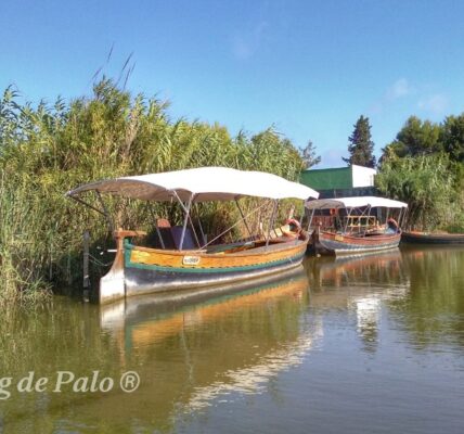 Eco Turismo: Excursiones cerca de Valencia en coche – Un blog de Palo