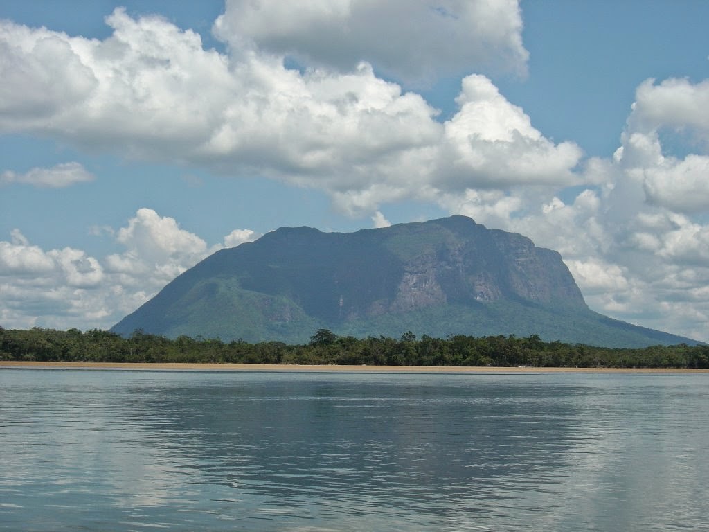 Yammine: El Parque Nacional Yapacana y sus problemas ambientales