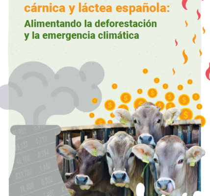Eco Turismo: El papel de los bancos españoles en la industria cárnica y láctea española