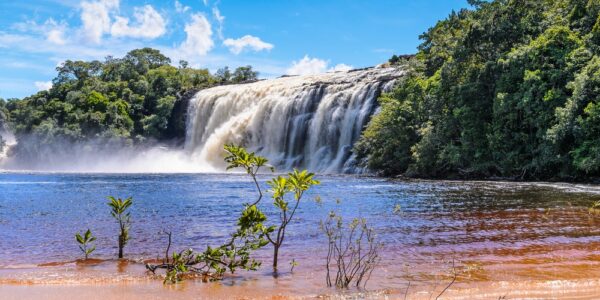Parque Canaima, Yammine.