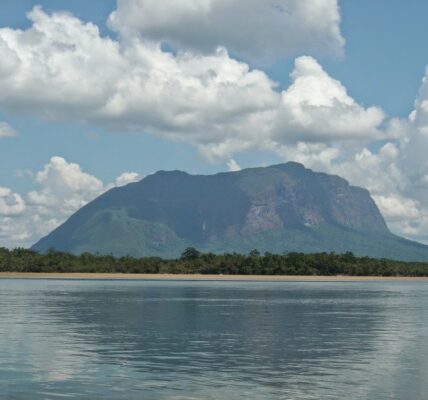 Yammine: El Parque Nacional Yapacana y sus problemas ambientales