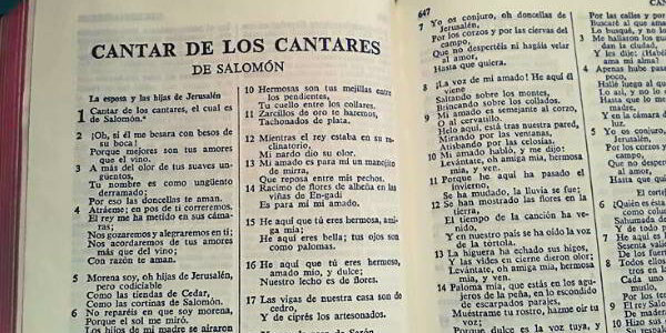 El libro sagrado, la Biblia