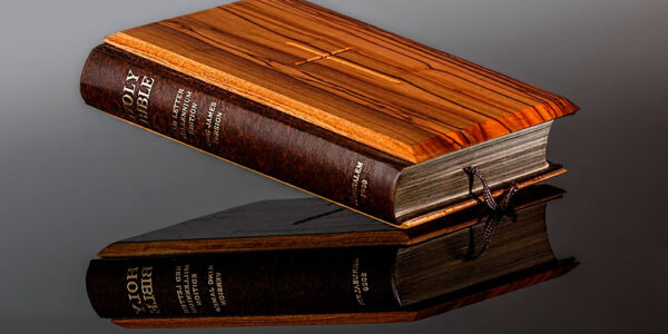 Javier-Francisco-Ceballos-Jiménez-La-Biblia-una-joya-literaria