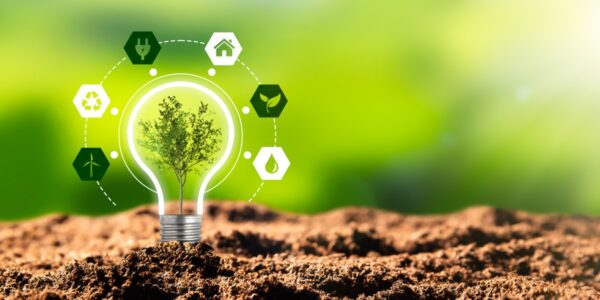 La innovación sustentable como parte de la Responsabilidad Social Empresarial – Fundación Yammine
