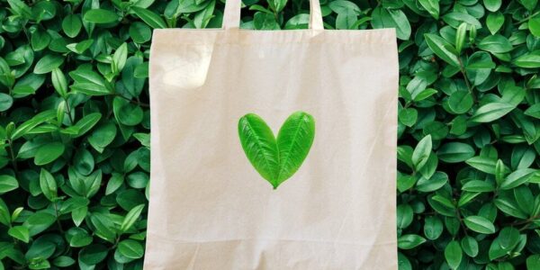 Las bolsas ecológicas y su contribución con el cuidado del ambiente