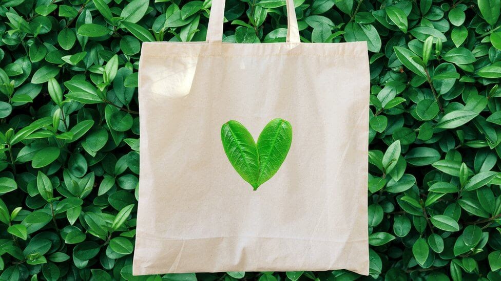 Las bolsas ecológicas y su contribución con el cuidado del ambiente